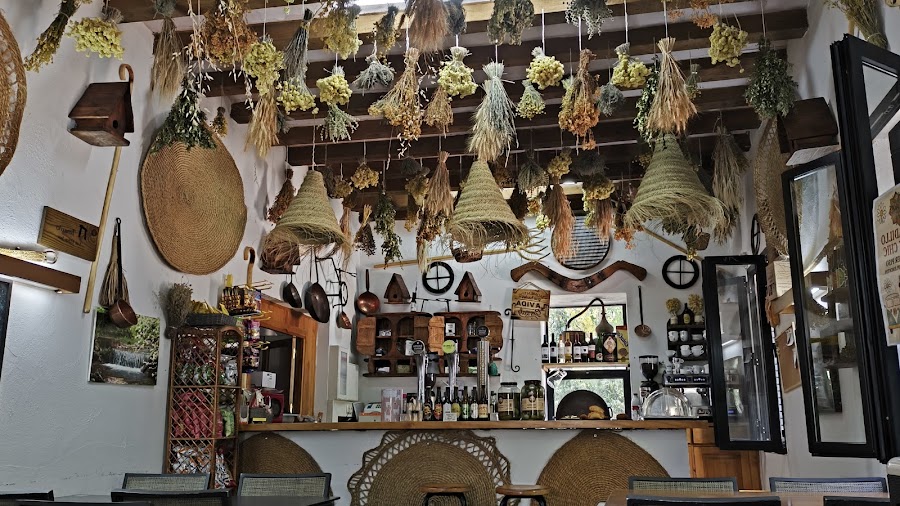 Casa forestales