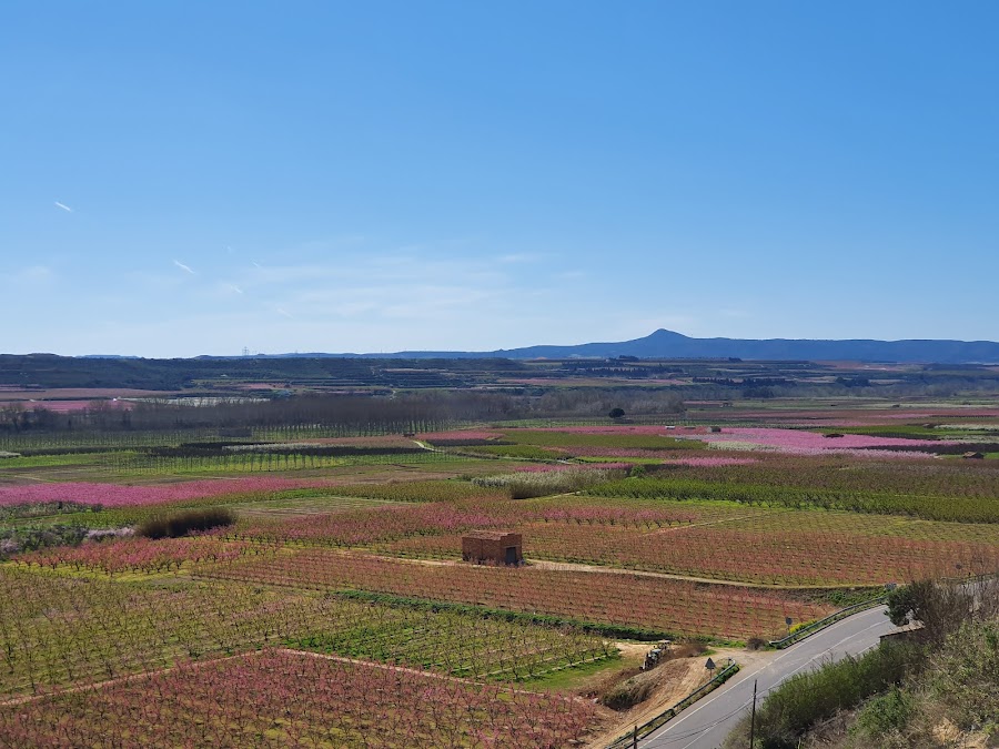 Mirador de Aitona