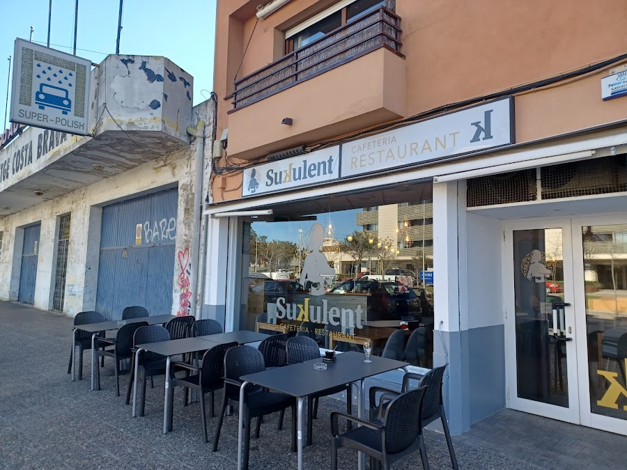 Sukulent
