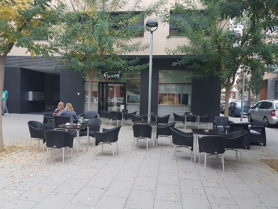 Bar Fleming