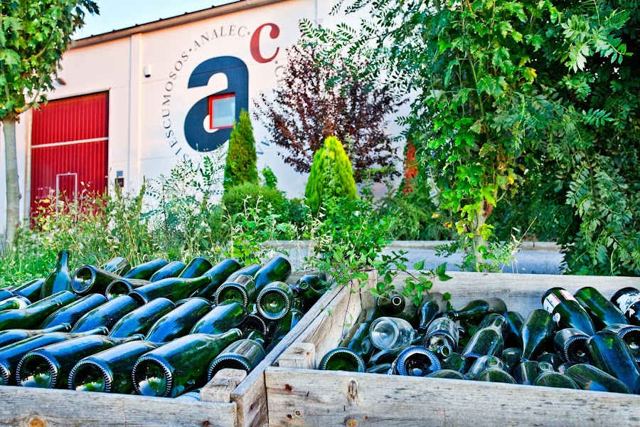 Celler analec